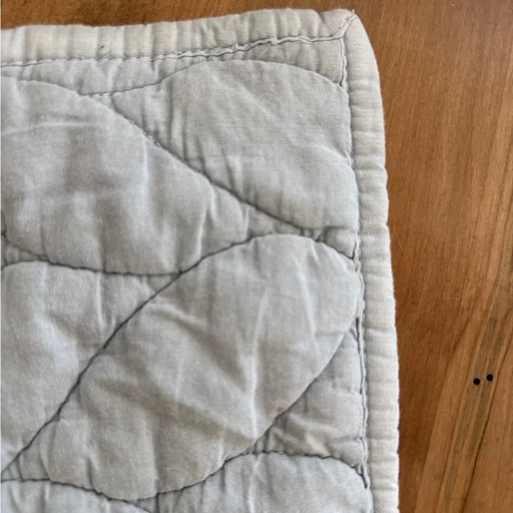 West Elm Elegant Quilted Pillow Sham Standard